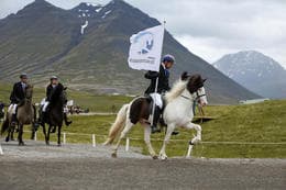 Landsmót hestamanna sett með stæl