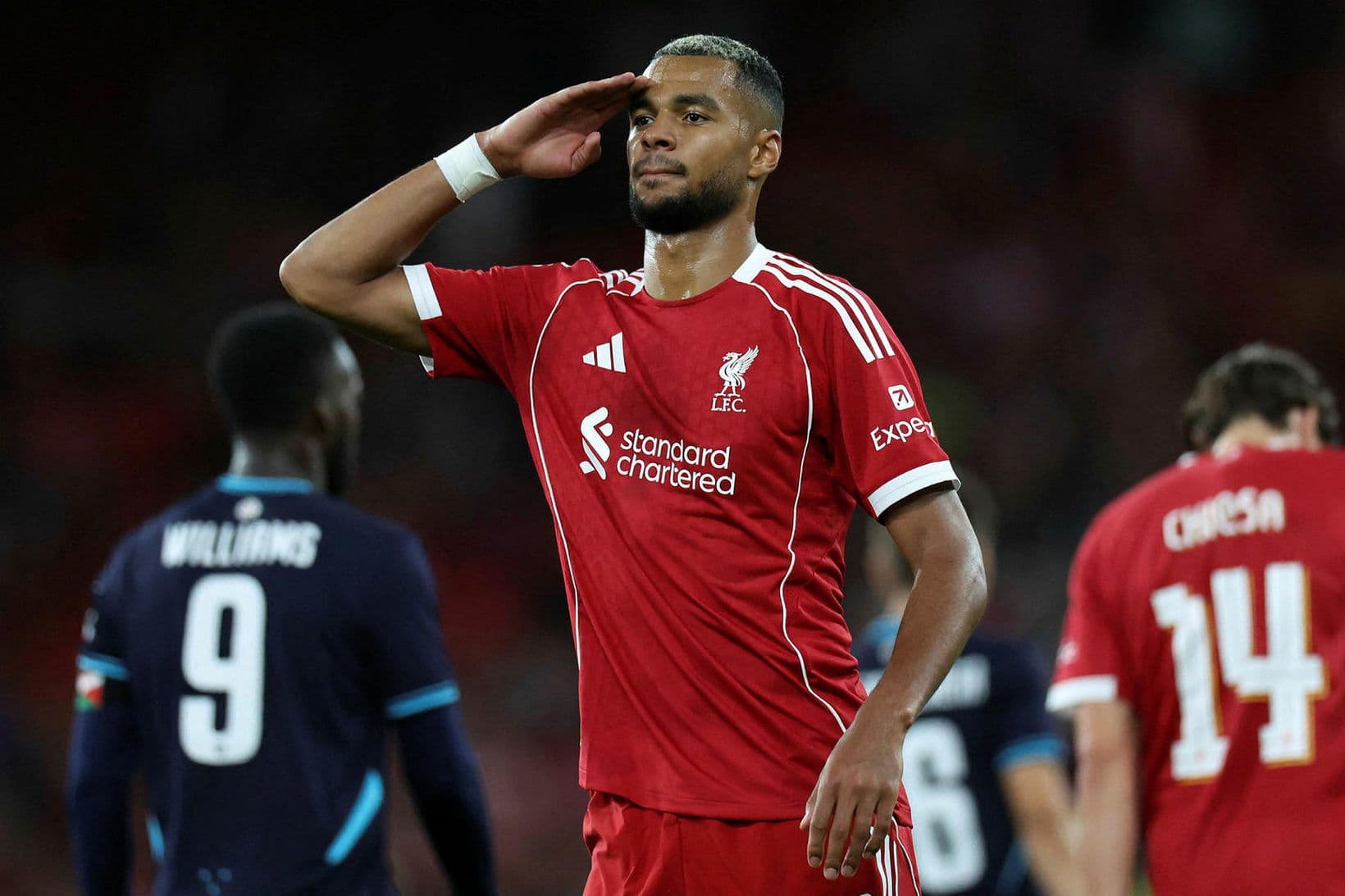 Cody Gakpo gæti farið til Tottenham