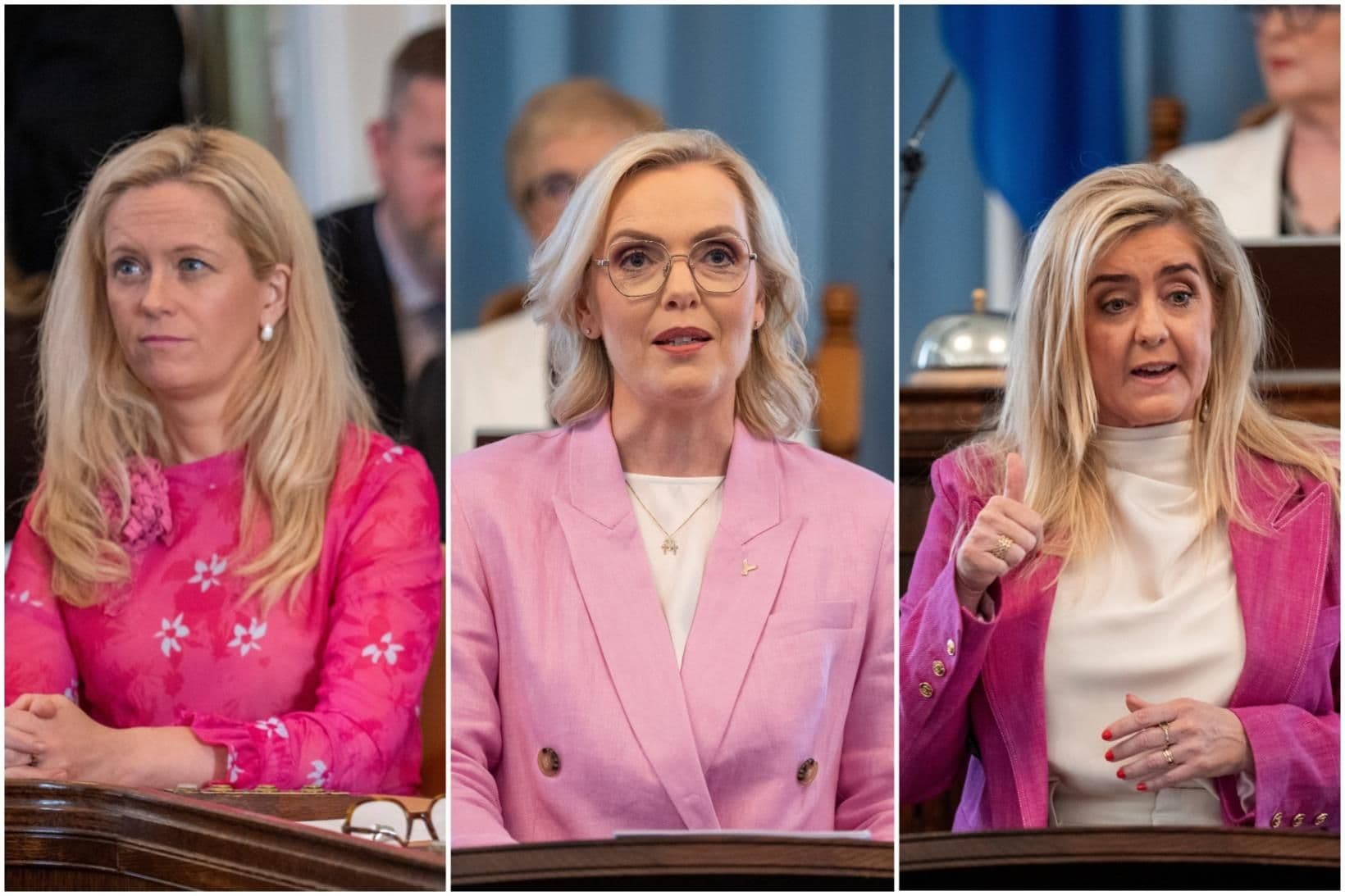 Bleik tískubylgja á Alþingi